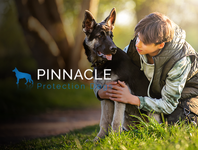 039 Pinnacle Protection Dogs